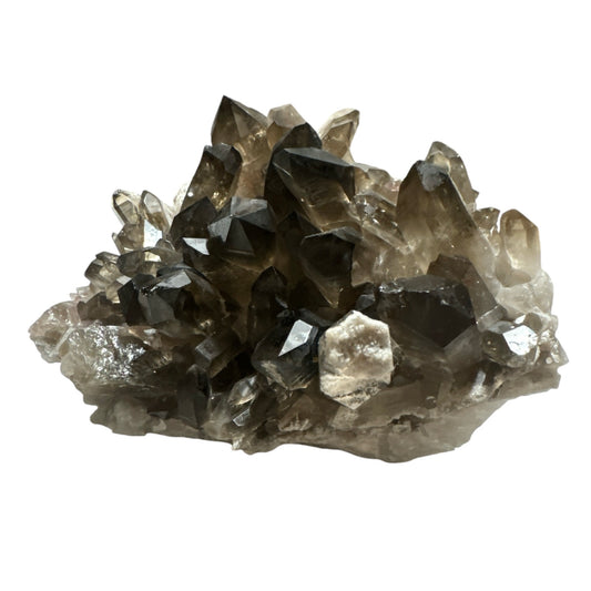 Smokey Quartz Cluster